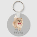 Search for poms key rings Cute