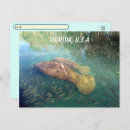 Search for florida manatee postcards Sea cow