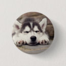 Search for dog sleeping badges Puppy