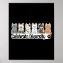 Search for cat owners posters Joe biden