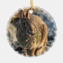 Search for hare christmas tree decorations Rodent