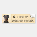 Search for doberman bumper stickers Dobie