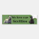 Search for terriers bumper stickers Scottish