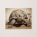 Search for tortoise puzzles Animal
