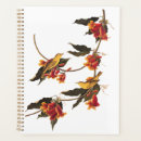 Search for james office supplies John james audubon