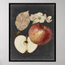 Search for harvest posters Botanical