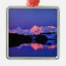 Search for denali national park christmas tree decorations Scenic
