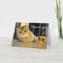 Search for scottish thank you cards Cute