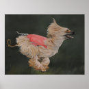 Search for afghan hound art Pet
