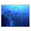 Search for dive office supplies Photography