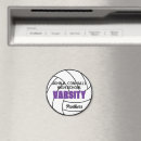 Search for volleyball magnets Team