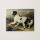 Search for newfoundland dog puzzles Landseer