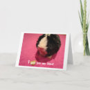 Search for pig valentines day cards Rodent