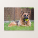 Search for german shepherd puzzles Cute