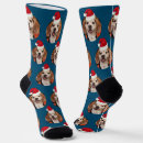 Search for cat in the hat clothing Cute