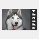 Search for siberian husky stickers Dog