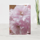 Search for blossom blank cards Tree