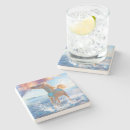 Search for arabian coasters Stallion