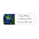 Search for bluebonnet return address labels Lone star state
