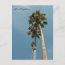 Search for angels photography Design