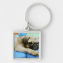 Search for lay key rings Domestic animals
