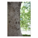 Search for carving posters Tree