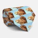 Search for camel animal ties Animals