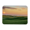 Search for wheat magnets Field