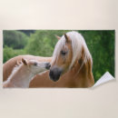 Search for horse on beach towels For kids