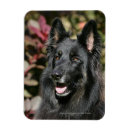 Search for deutscher magnets Panting