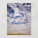 Search for half and half postcards Sky