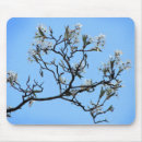 Search for cherry blossom tree mousepads White