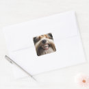 Search for fluffy dog stickers Pet