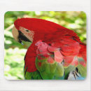 Search for nature mousemats mousepads Bird