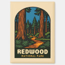 Search for redwood national park magnets Landscape