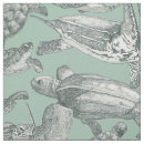 Search for turtle egg Sea