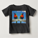 Search for rainbow lorikeet Animal