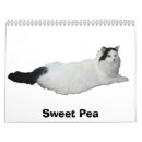 Search for sweet calendars Cat