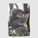 Search for cute koala golf equipment Animal