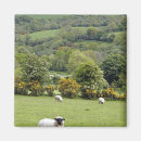 Search for countryside magnets Pasture