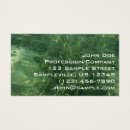 Search for sea grass Photography