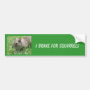 Search for i brake for squirrels bumper stickers Nature