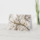 Search for cedar cards Tree