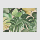Search for leaf tissue paper Nature