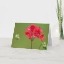 Search for blank photo cards Flower