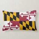 Search for state flags America