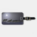 Search for arctic wolf accessories Animals