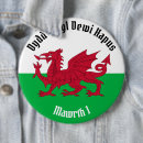 Search for welsh dragon badges Flag of wales