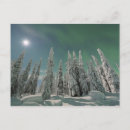 Search for aurora postcards Evening