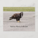 Search for reduce postcards Nature